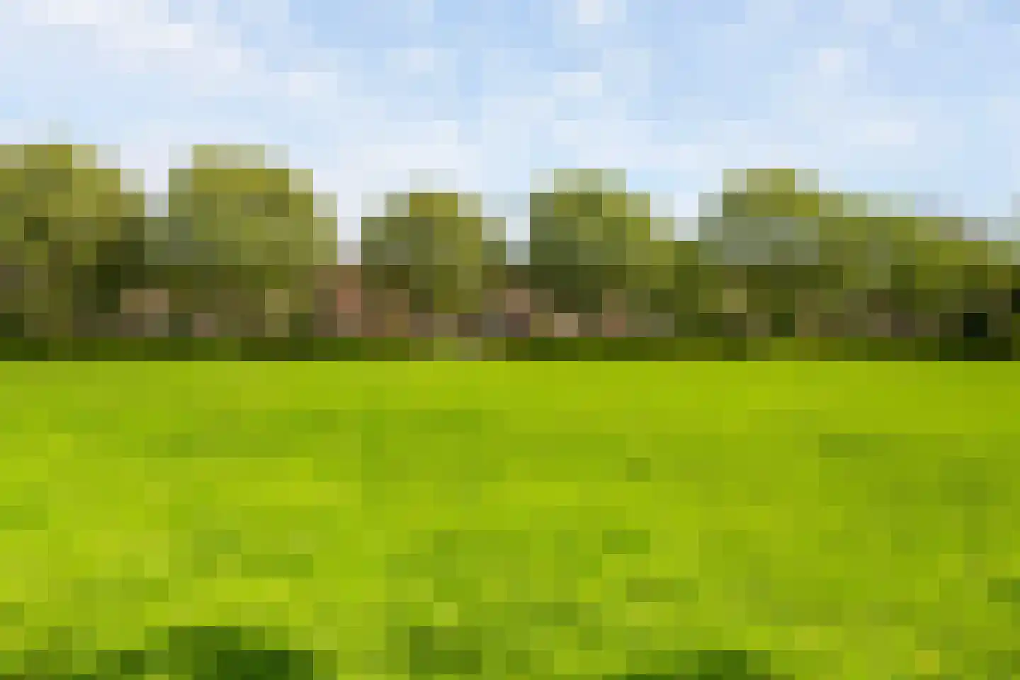 Ververij 54 Maassluis thumbnail 43