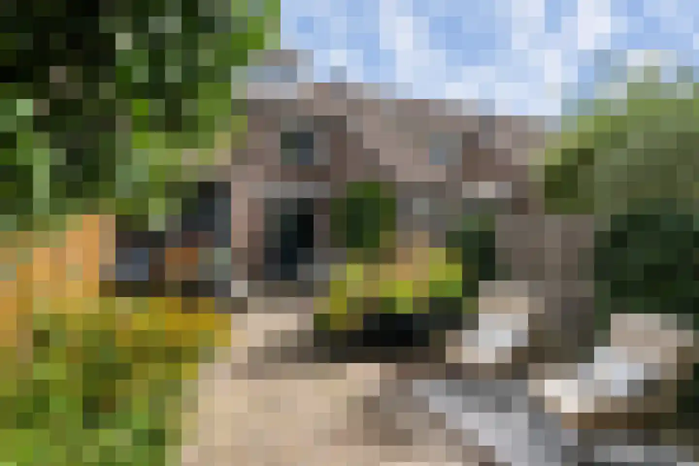 Ververij 54 Maassluis thumbnail 6