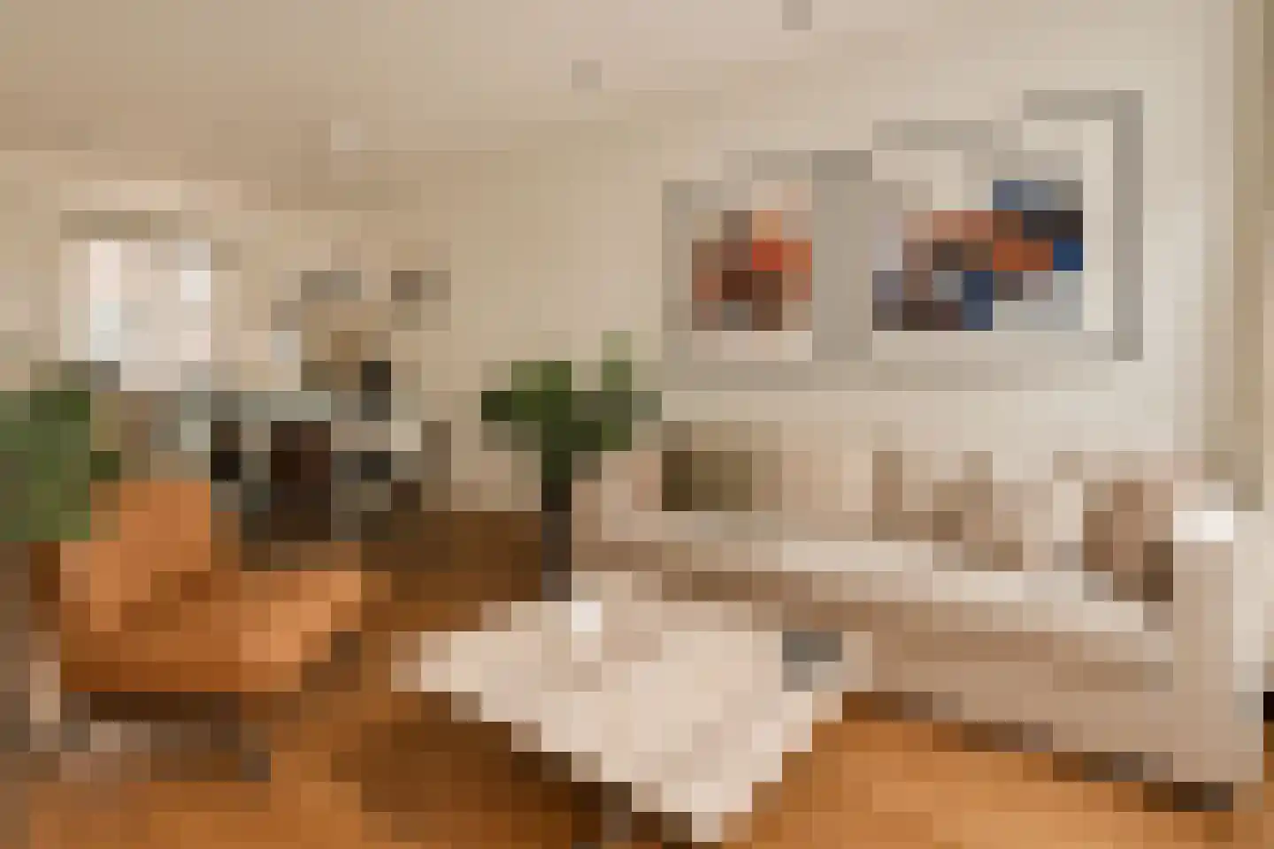Verversstraat 36 Amsterdam thumbnail 12