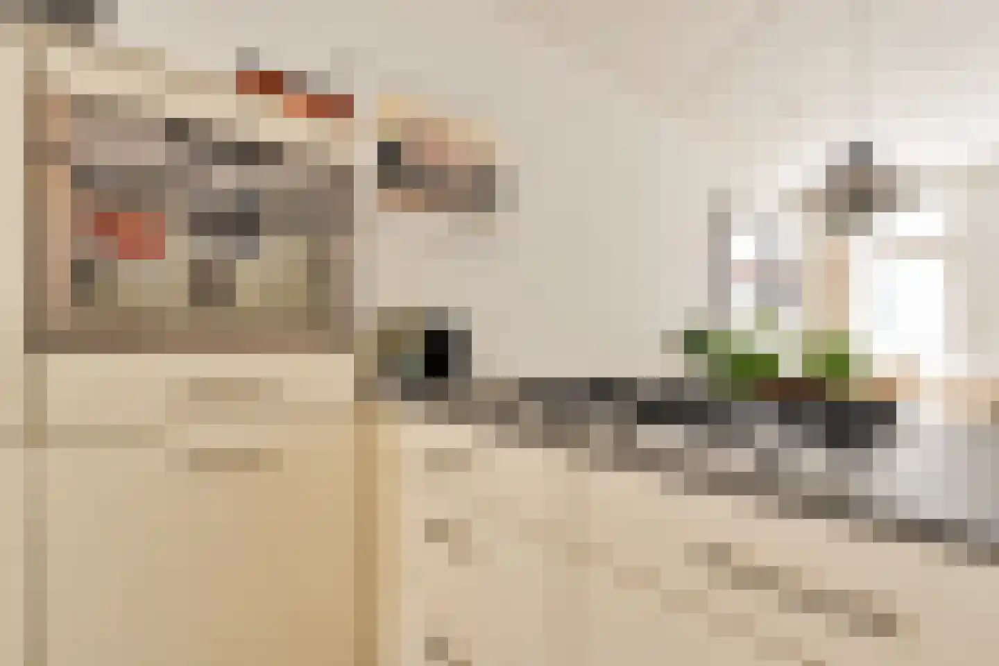 Verversstraat 36 Amsterdam thumbnail 15