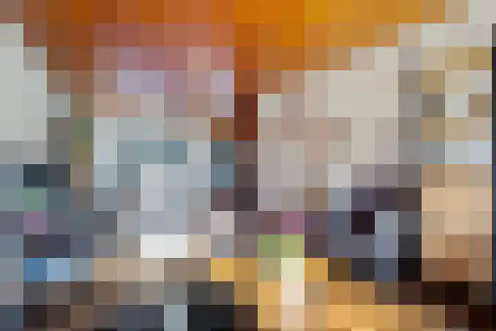 Ververstraat 1 Borne thumbnail 12