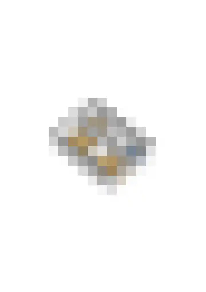 Ververstraat 1 Borne thumbnail 49