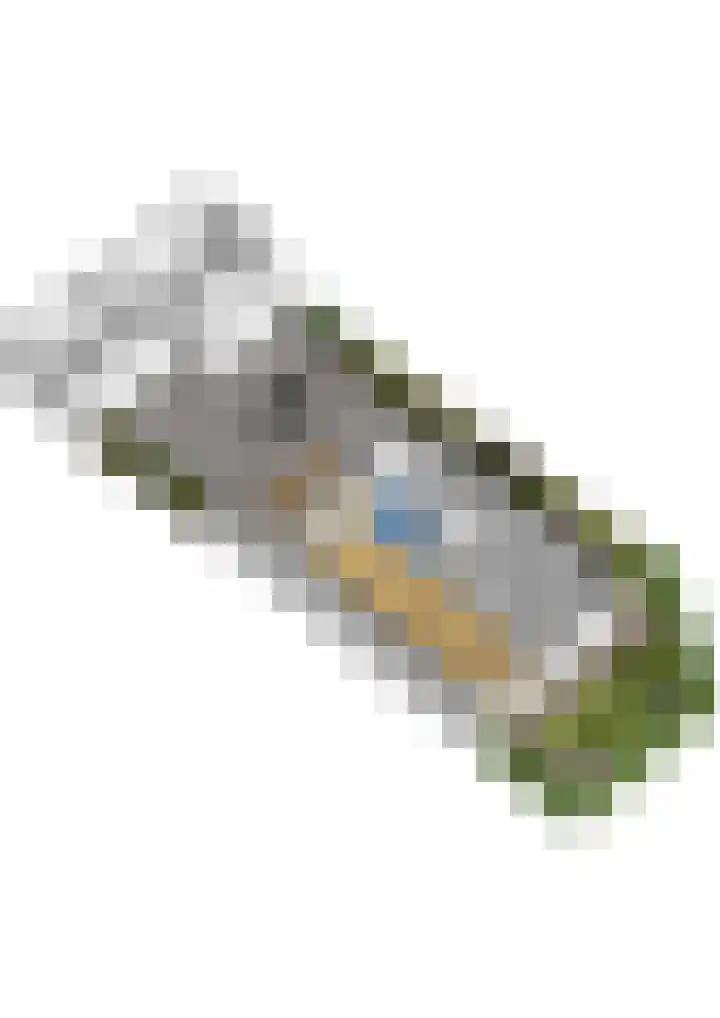 Ververstraat 1 Borne thumbnail 52