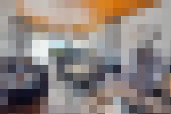 Ververstraat 1 Borne thumbnail 7