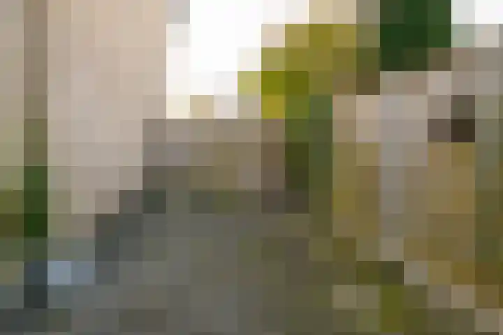 Ververstraat 13 Borne thumbnail 25