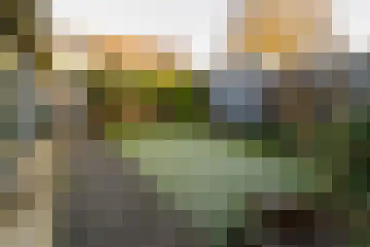 Ververstraat 13 Borne thumbnail 29