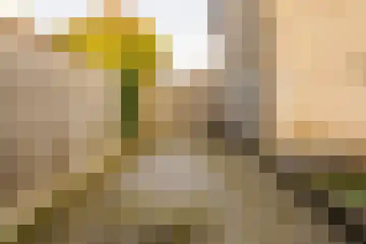 Ververstraat 13 Borne thumbnail 34