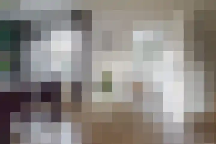 Ververstraat 13 Borne thumbnail 7