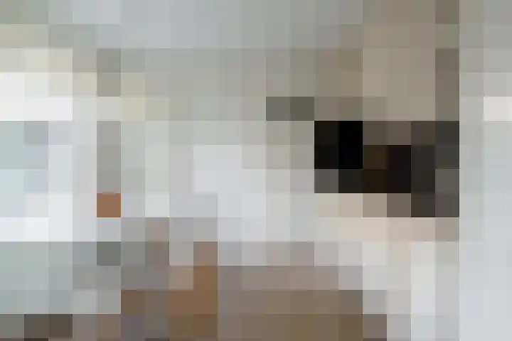 Ververstraat 13 Borne thumbnail 8