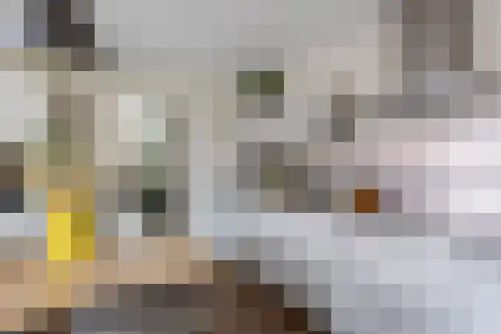 Ververstraat 15 Borne thumbnail 11