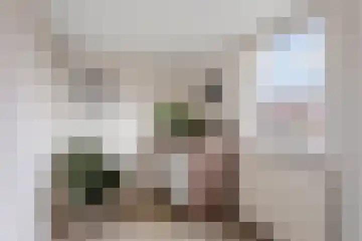Ververstraat 15 Borne thumbnail 16