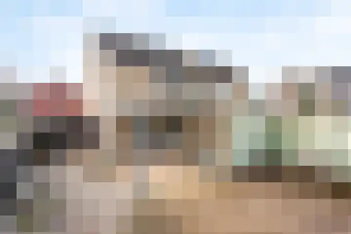 Ververstraat 15 Borne thumbnail 18