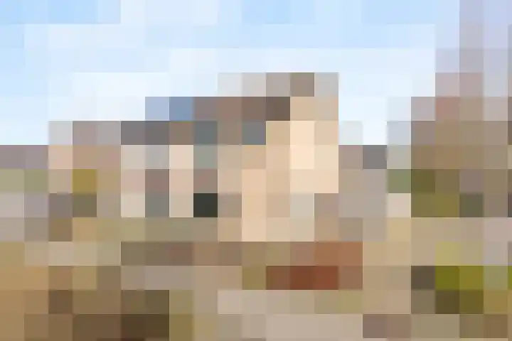 Ververstraat 15 Borne thumbnail 5