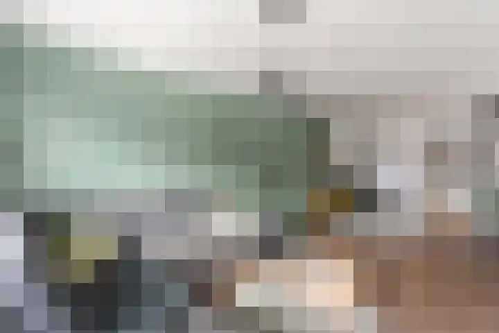 Ververstraat 15 Borne thumbnail 8
