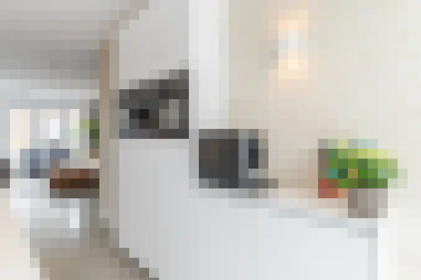 Ververstraat 2 02 Tilburg thumbnail 12