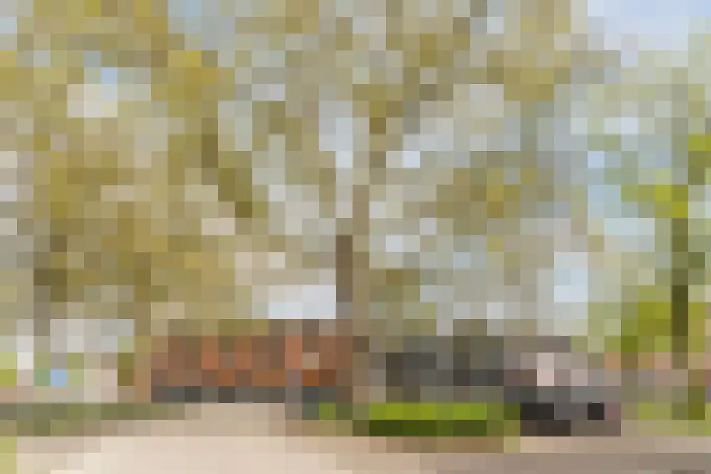 Ververstraat 2 02 Tilburg thumbnail 41