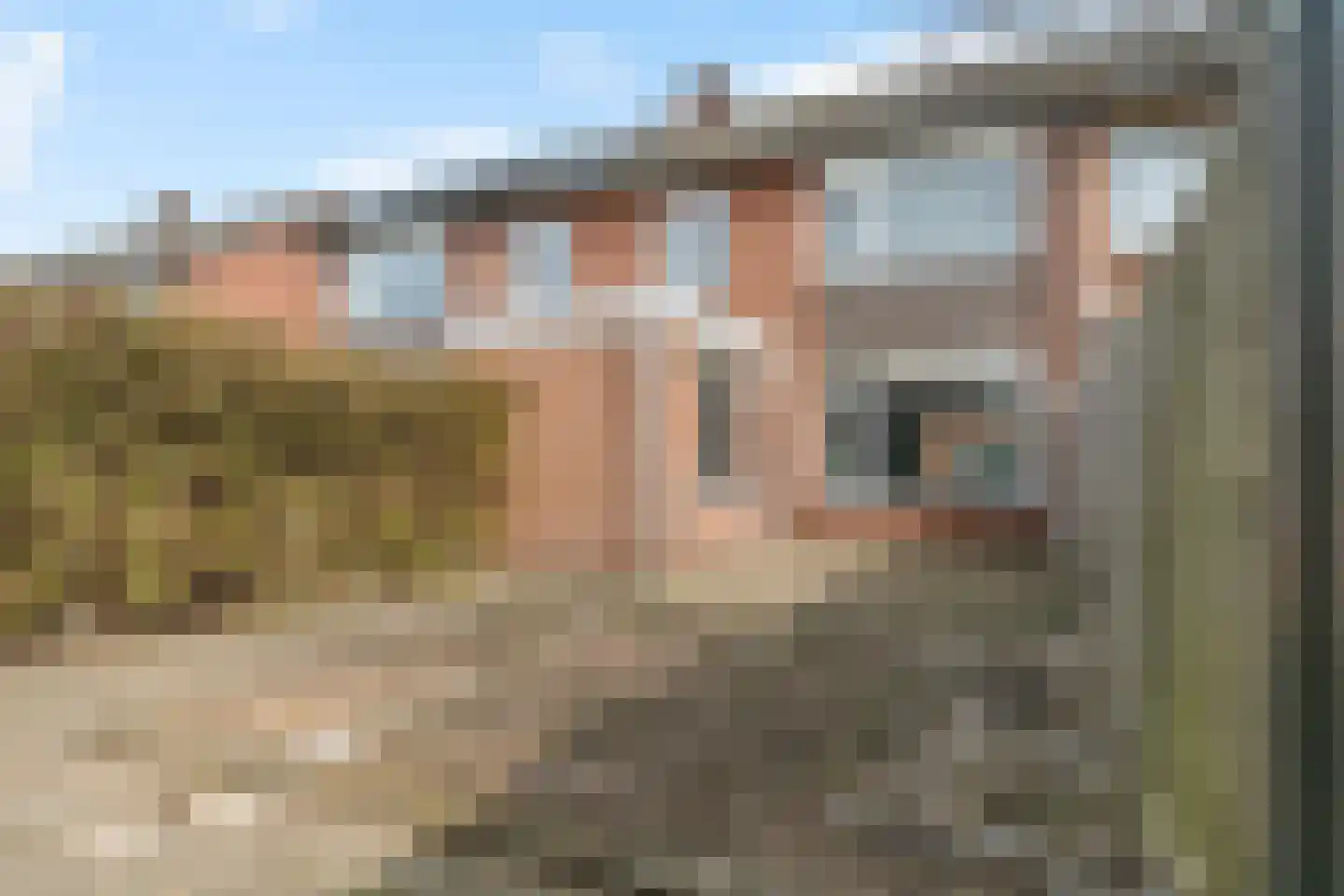 Ververstraat 22 Overdinkel thumbnail 4
