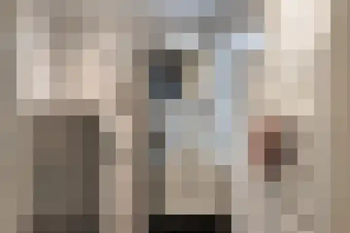 Ververstraat 32 Borne thumbnail 18