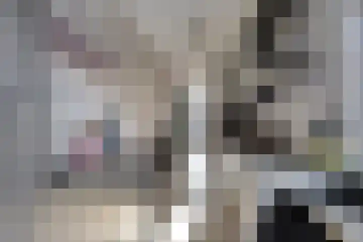 Ververstraat 32 Borne thumbnail 4