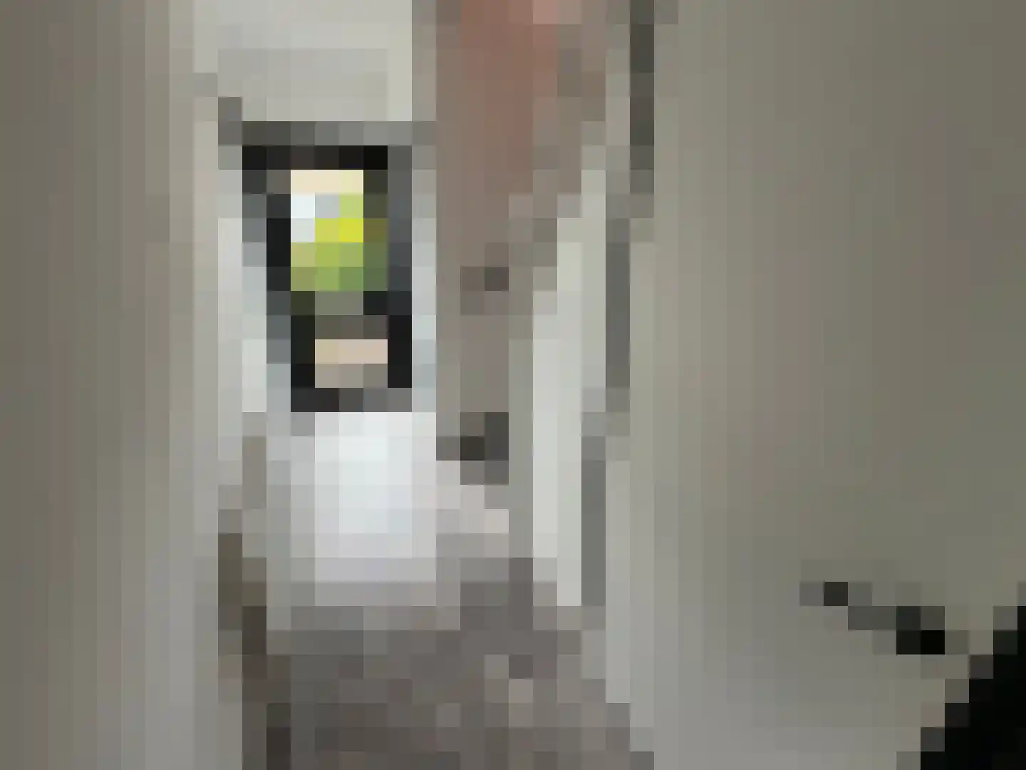 Ververstraat 40 Haaksbergen thumbnail 13