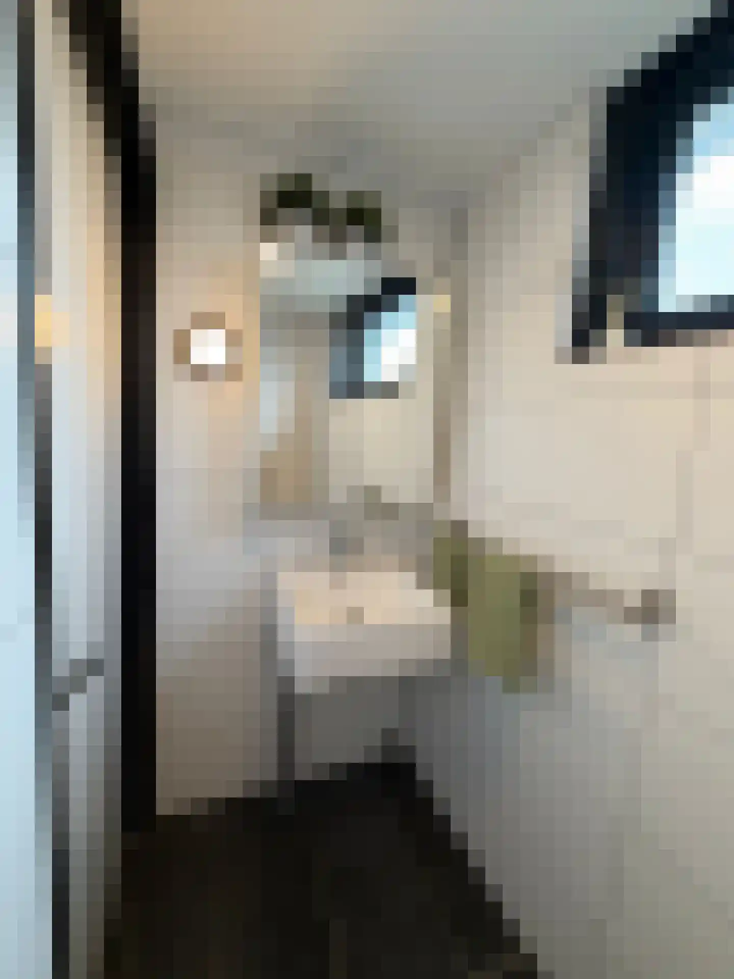 Ververstraat 40 Haaksbergen thumbnail 22