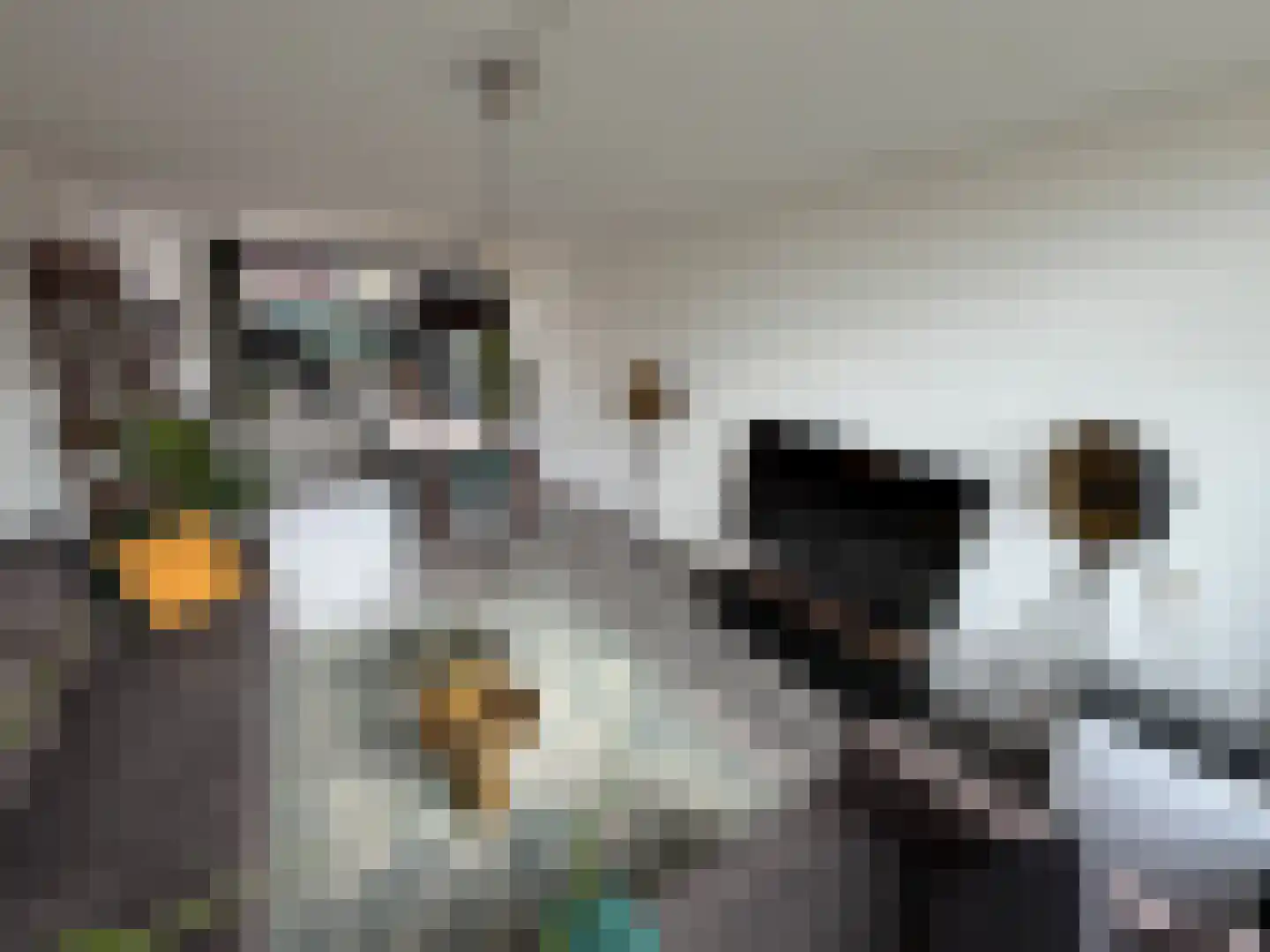 Ververstraat 40 Haaksbergen thumbnail 4