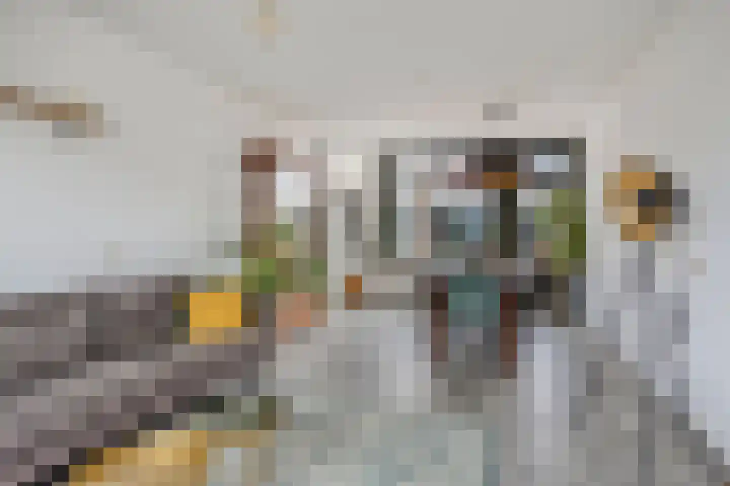 Ververstraat 40 Haaksbergen thumbnail 5