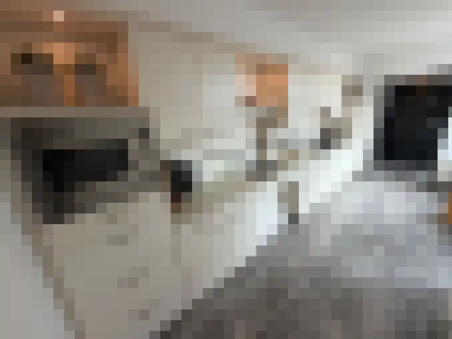 Ververstraat 40 Haaksbergen thumbnail 7