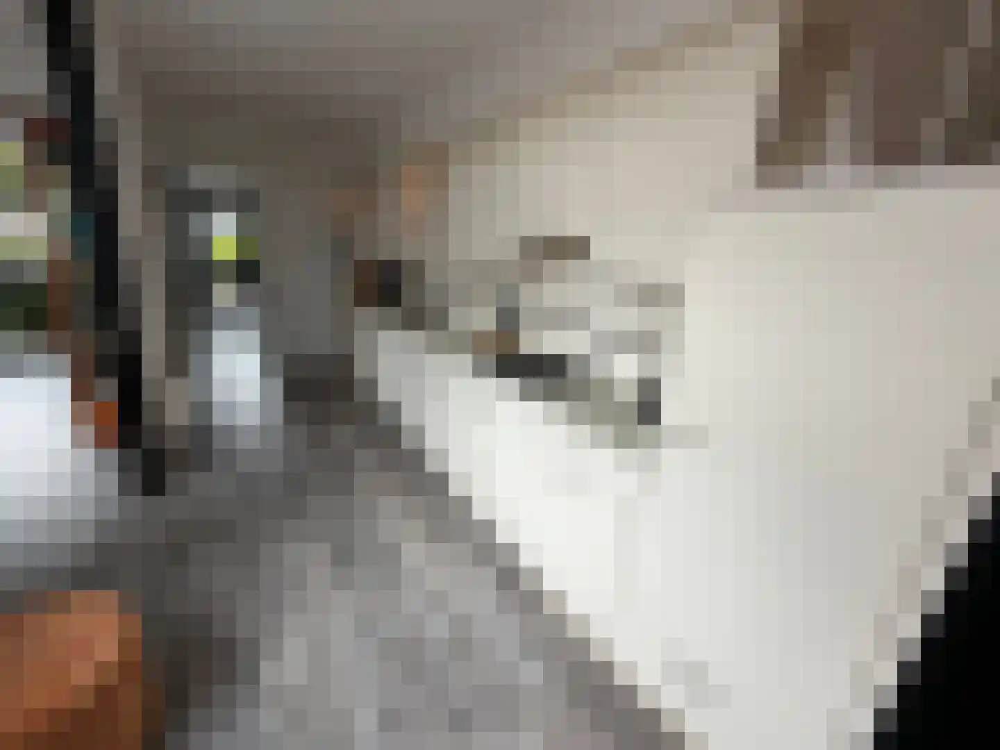 Ververstraat 40 Haaksbergen thumbnail 8