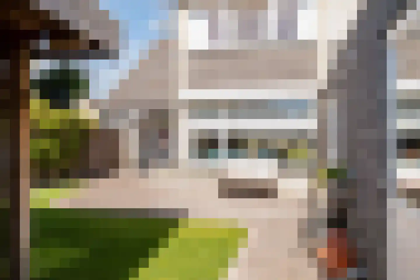 Ververstraat 40 Overdinkel thumbnail 36