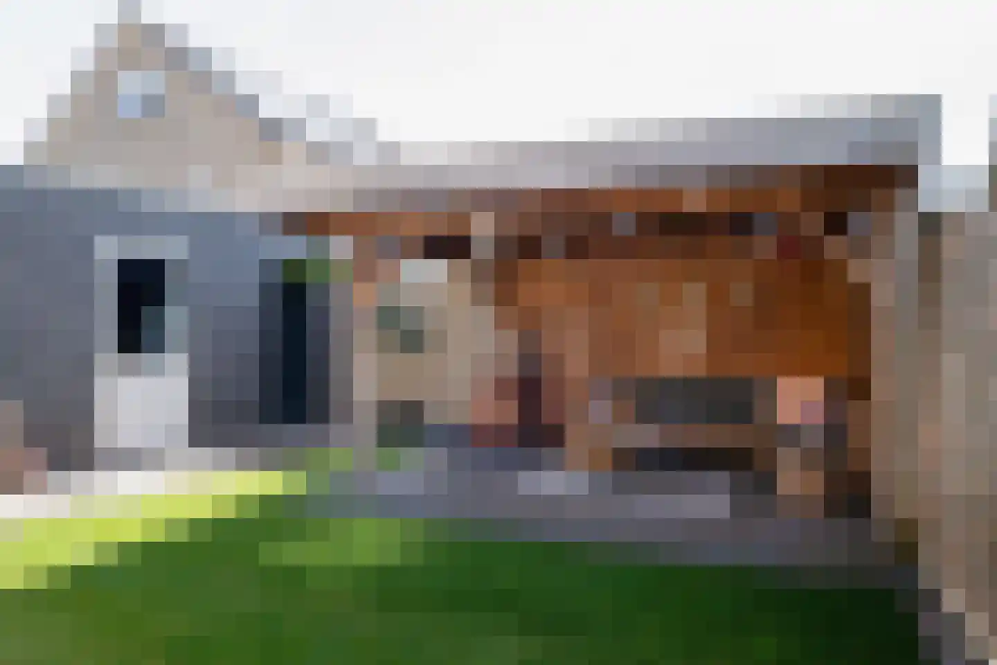 Ververstraat 40 Overdinkel thumbnail 39