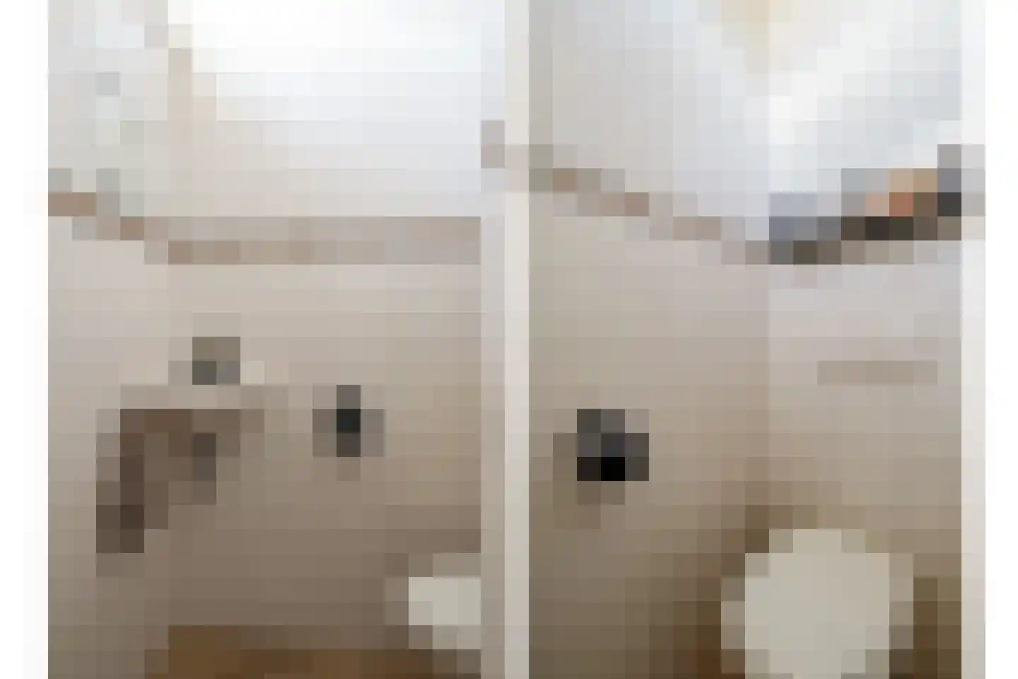 Ververstraat 40 Overdinkel thumbnail 7