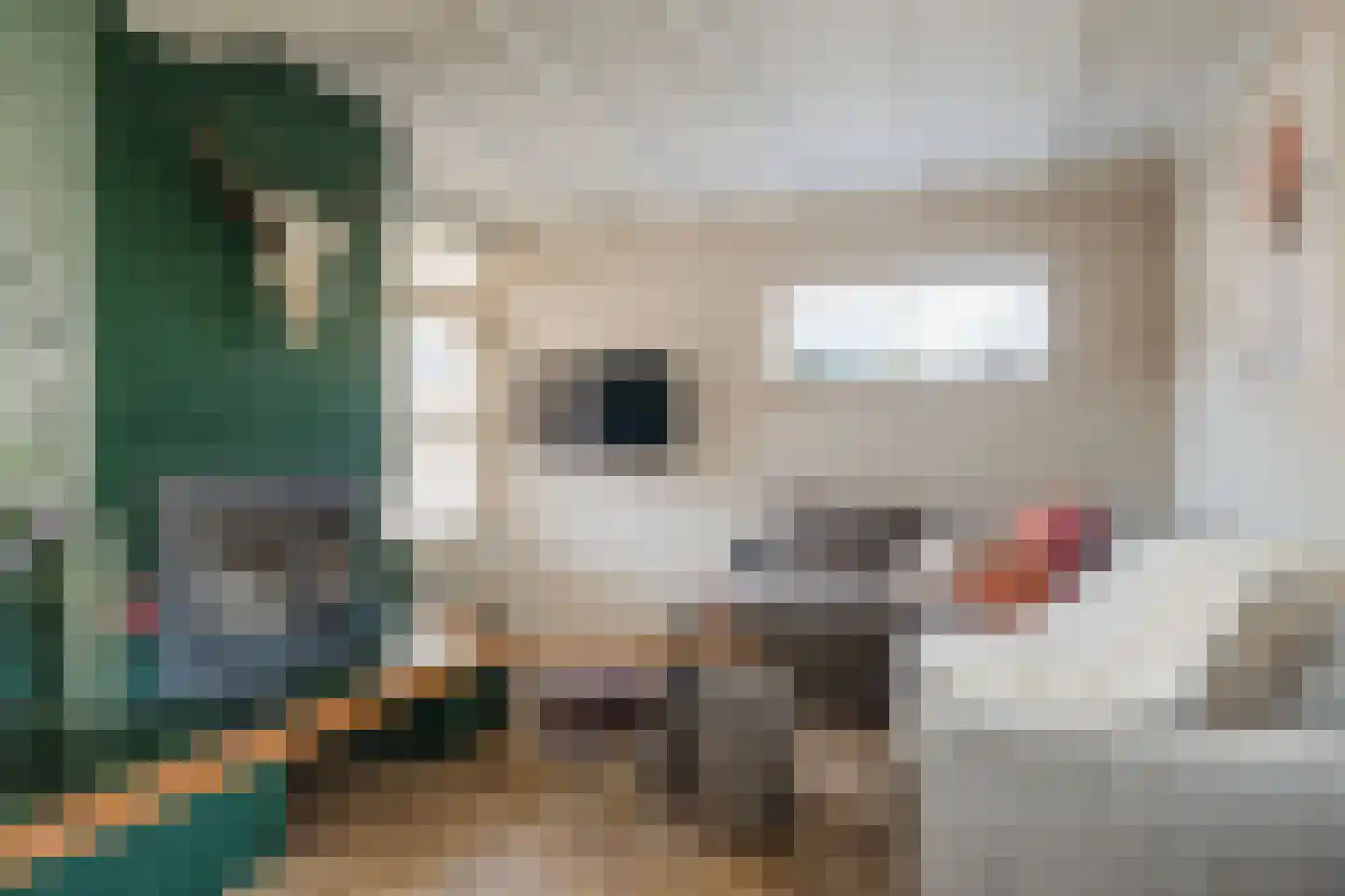 Ververstraat 40 Overdinkel thumbnail 9