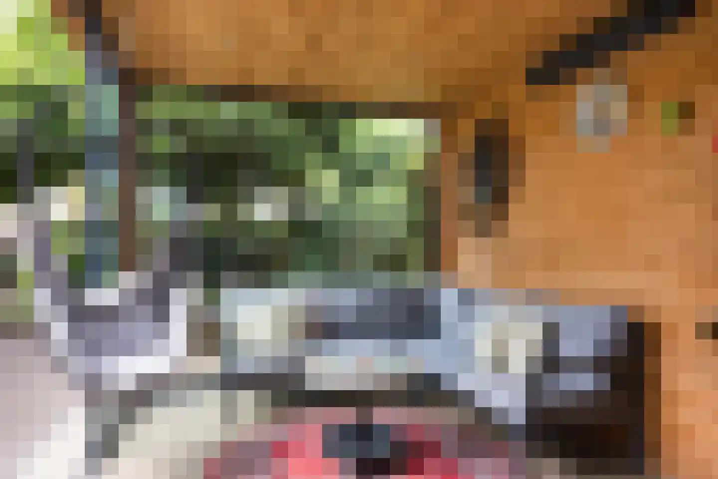 Ververstraat 50 Overdinkel thumbnail 24