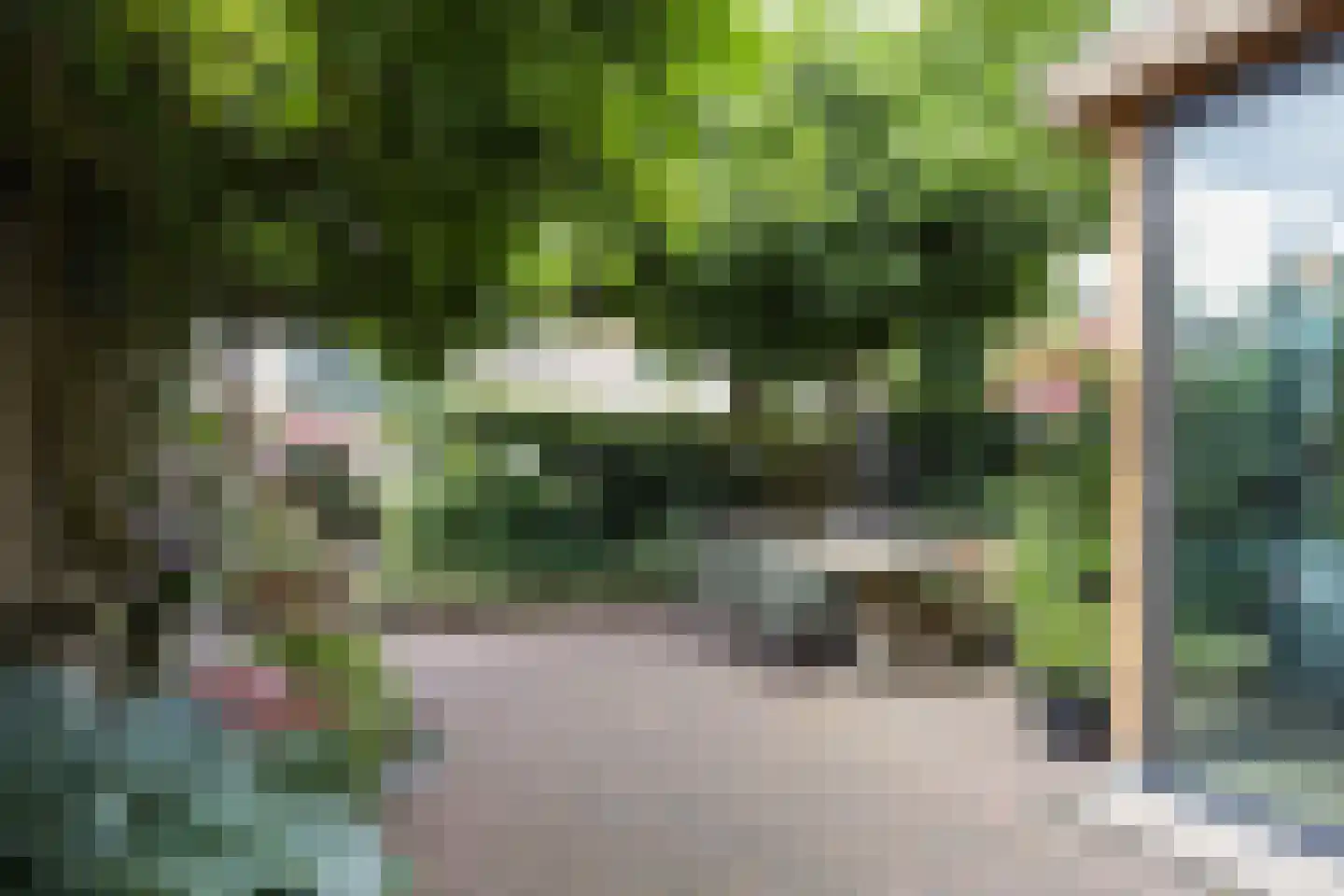 Ververstraat 50 Overdinkel thumbnail 26