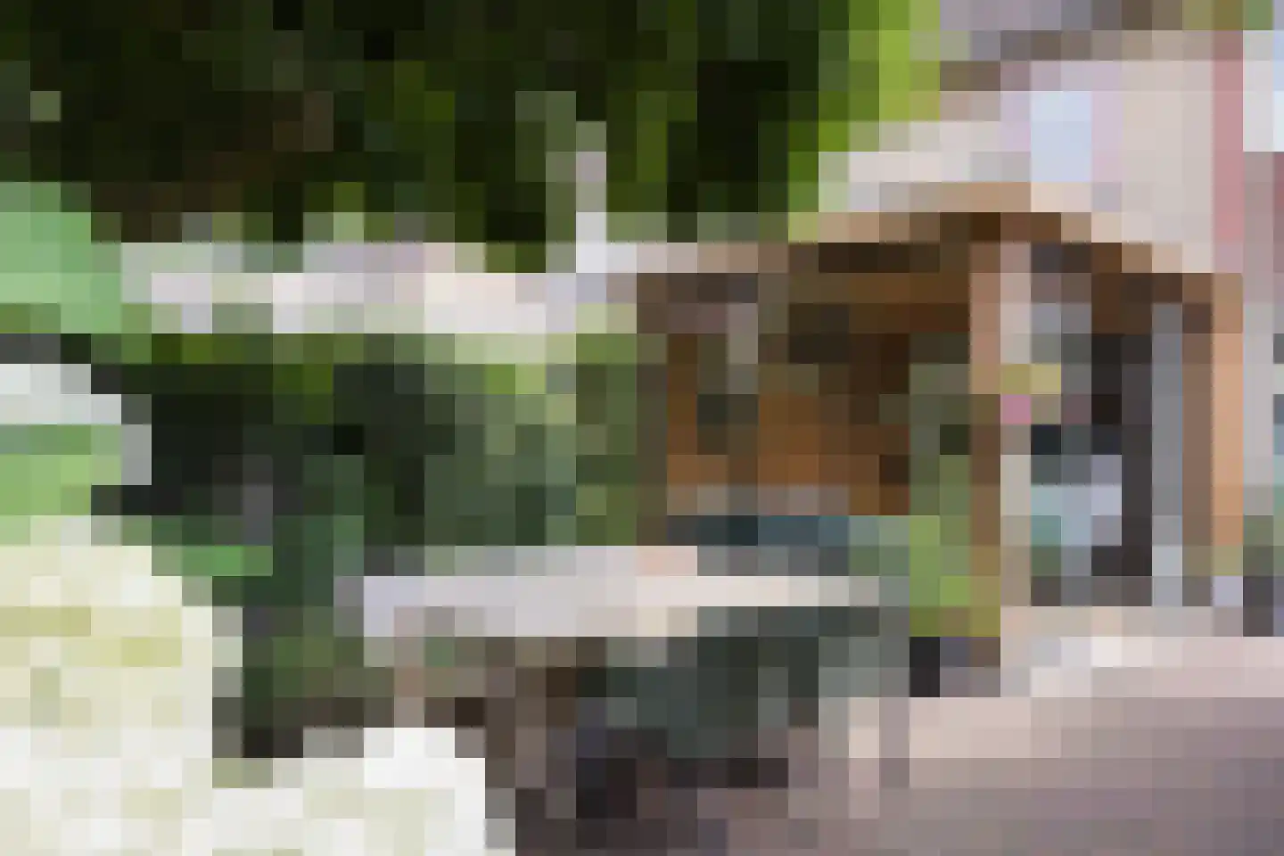 Ververstraat 50 Overdinkel thumbnail 27
