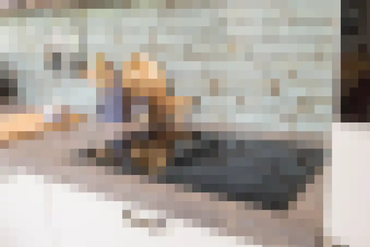 Ververstraat 50 Overdinkel thumbnail 8