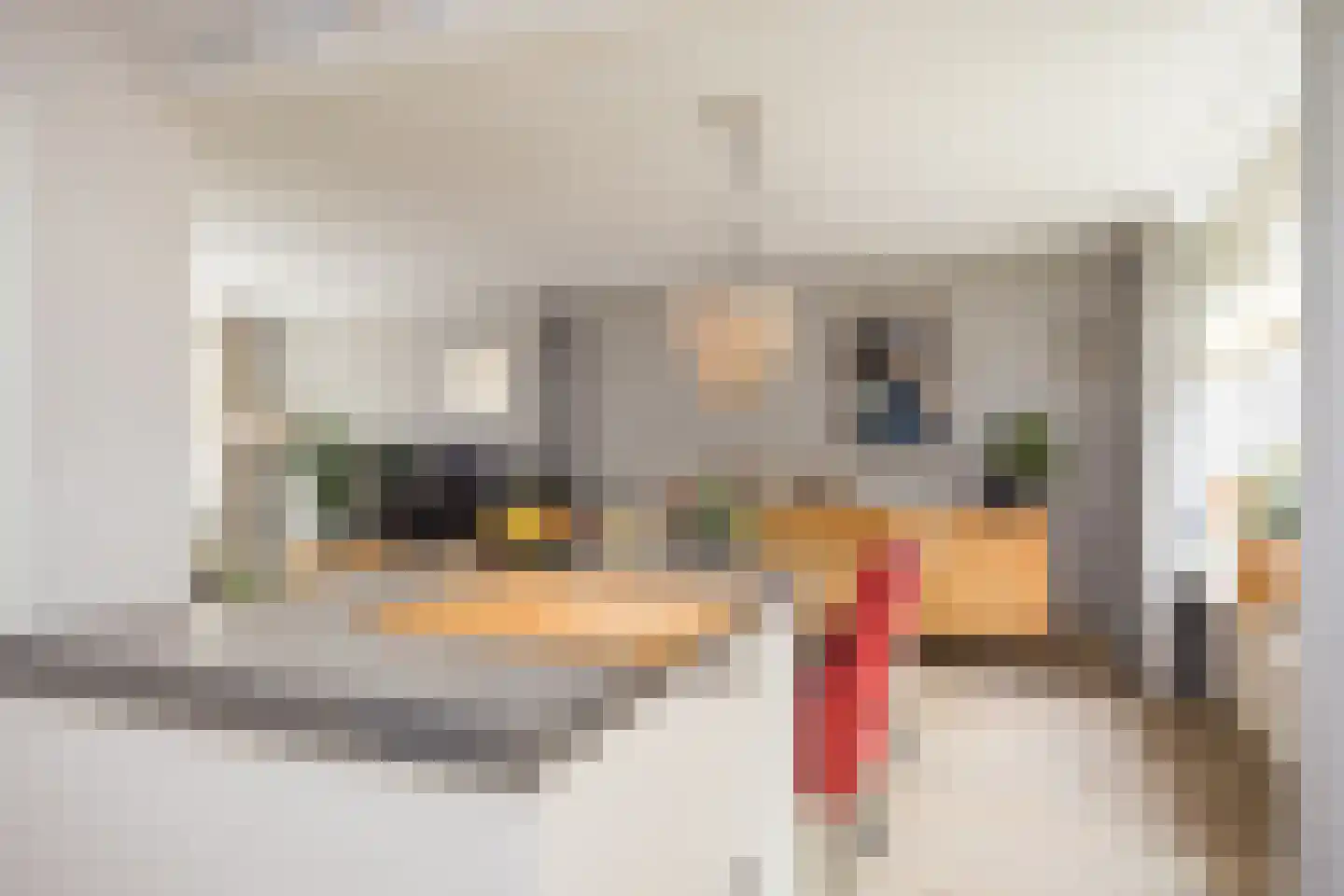 Ververstraat 50 Overdinkel thumbnail 9