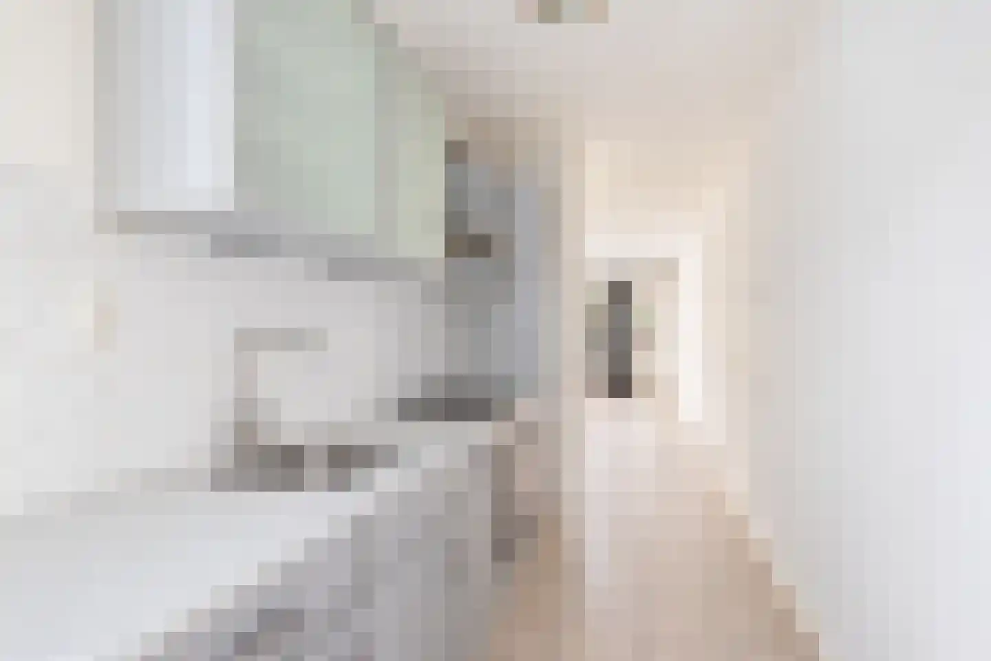 Ververstraat 56 Borne thumbnail 12