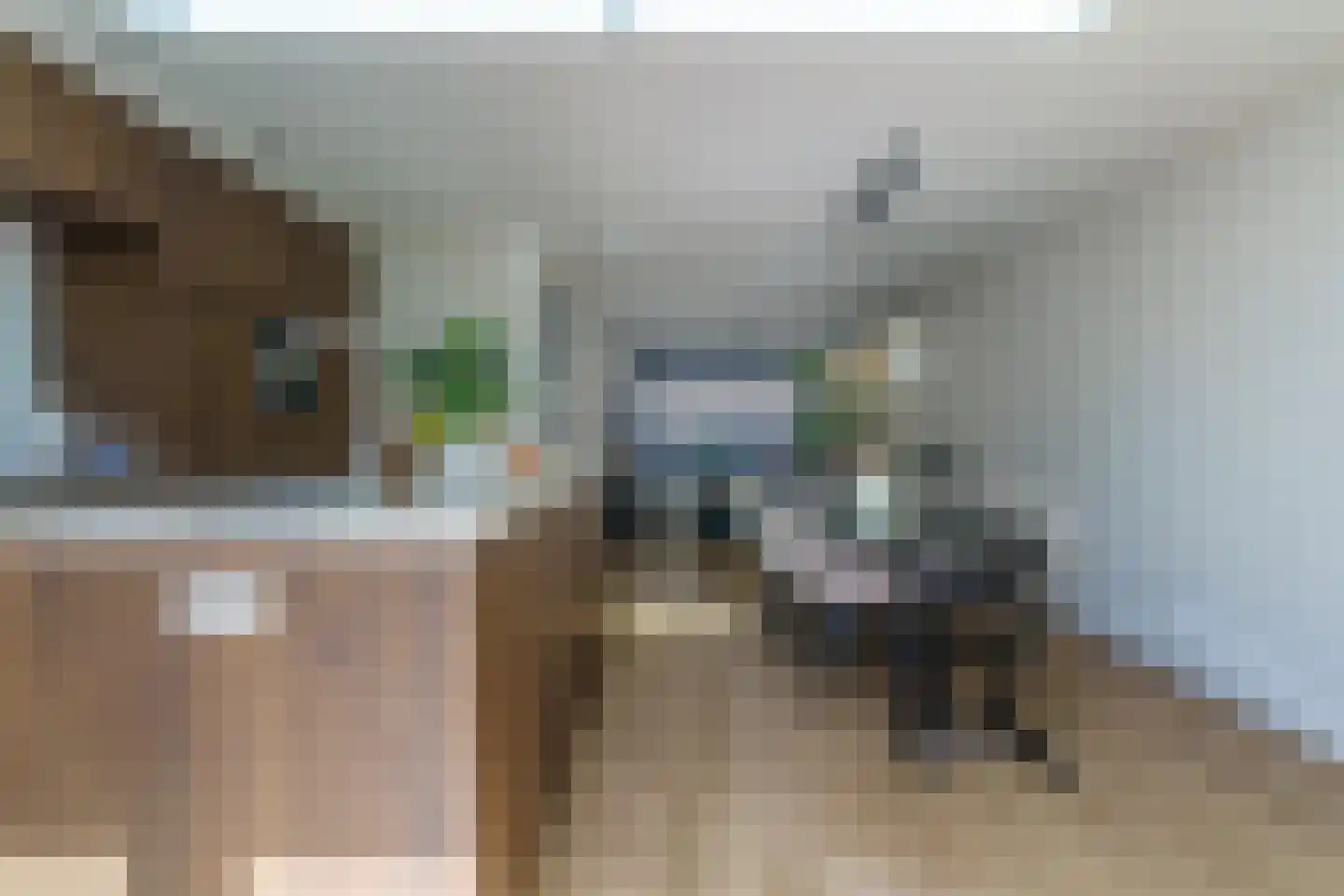 Ververstraat 8 Geldrop thumbnail 16
