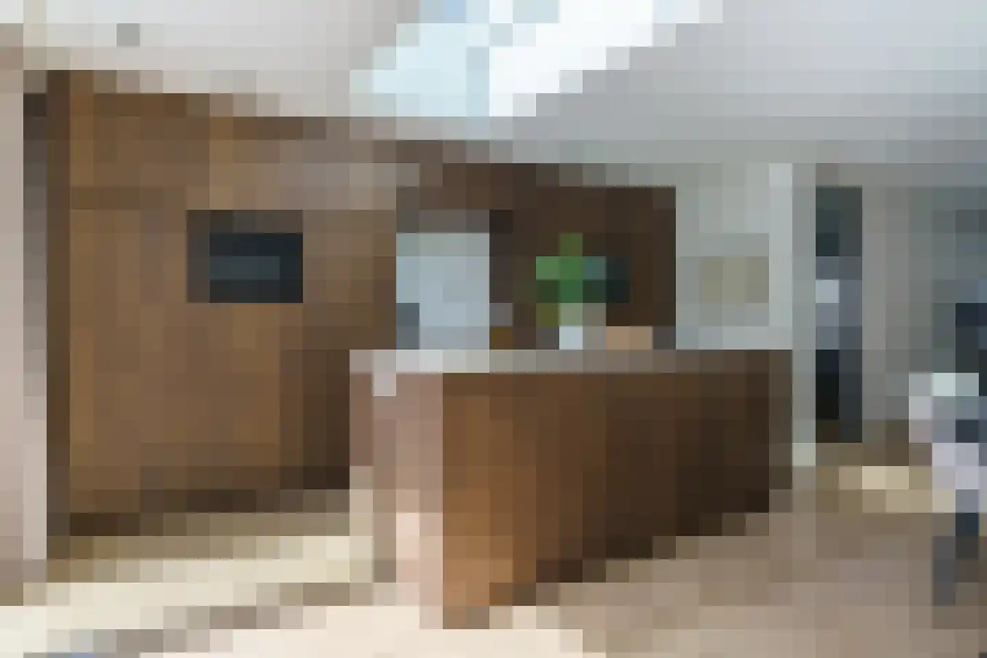 Ververstraat 8 Geldrop thumbnail 17