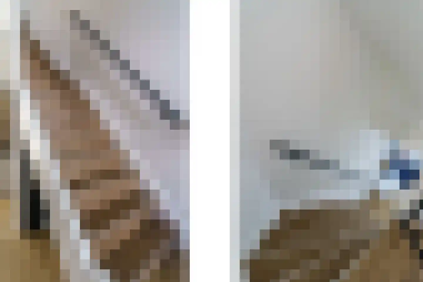 Ververstraat 8 Geldrop thumbnail 18