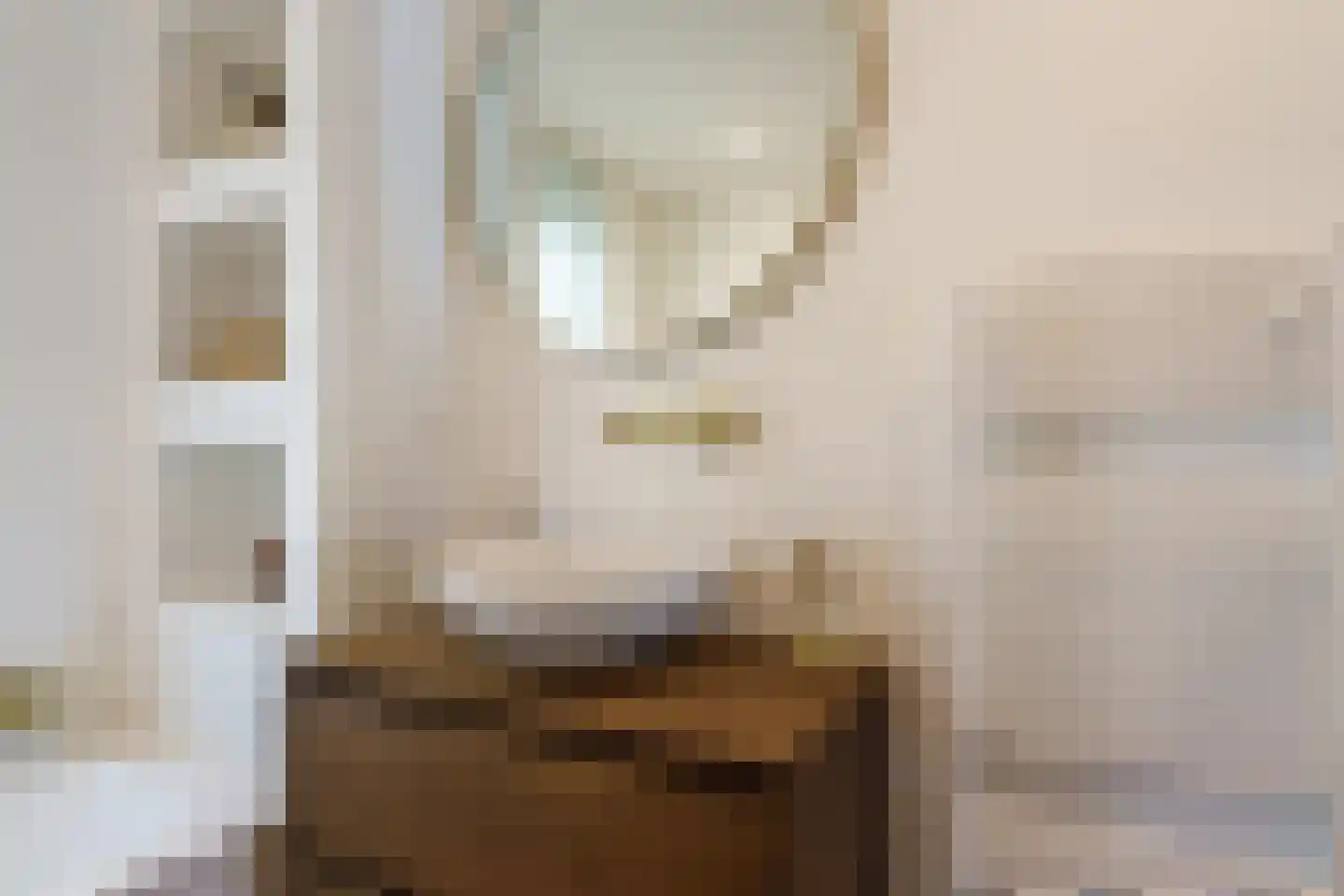 Ververstraat 8 Geldrop thumbnail 27