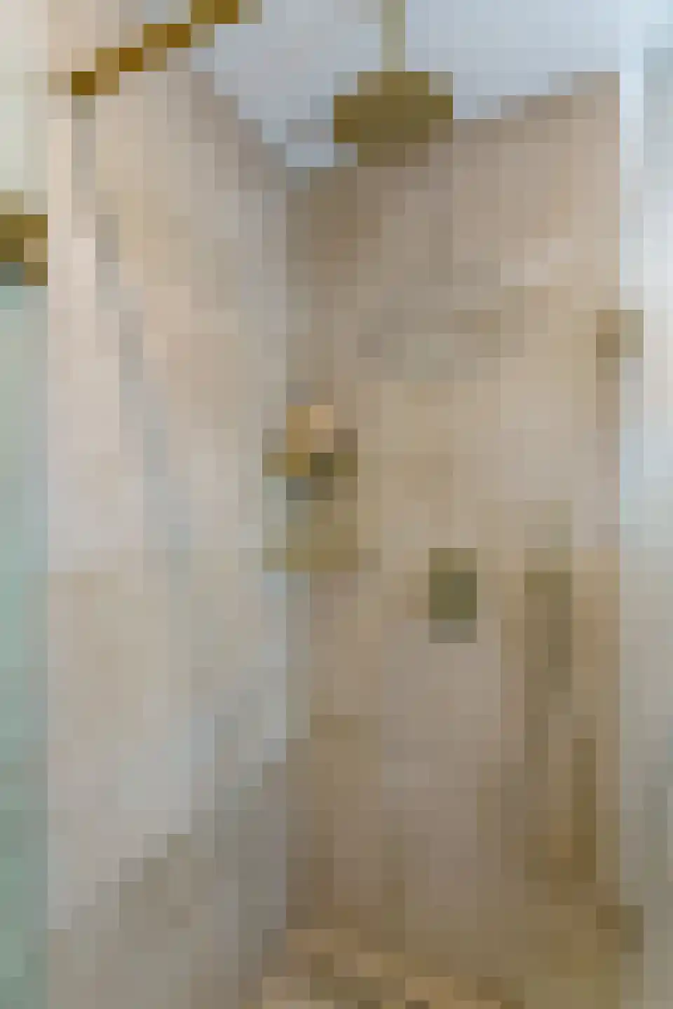 Ververstraat 8 Geldrop thumbnail 30
