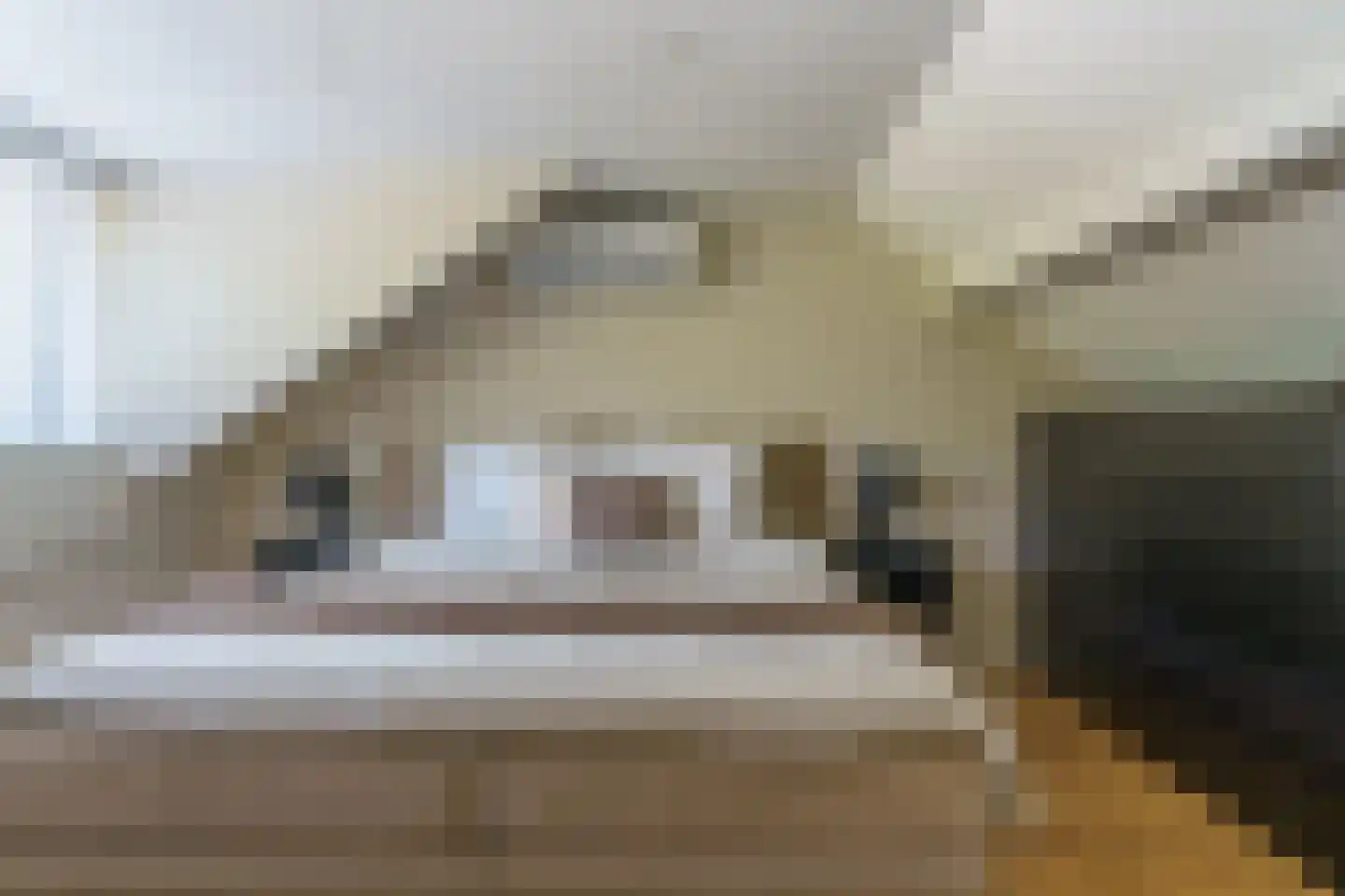 Ververstraat 8 Geldrop thumbnail 34