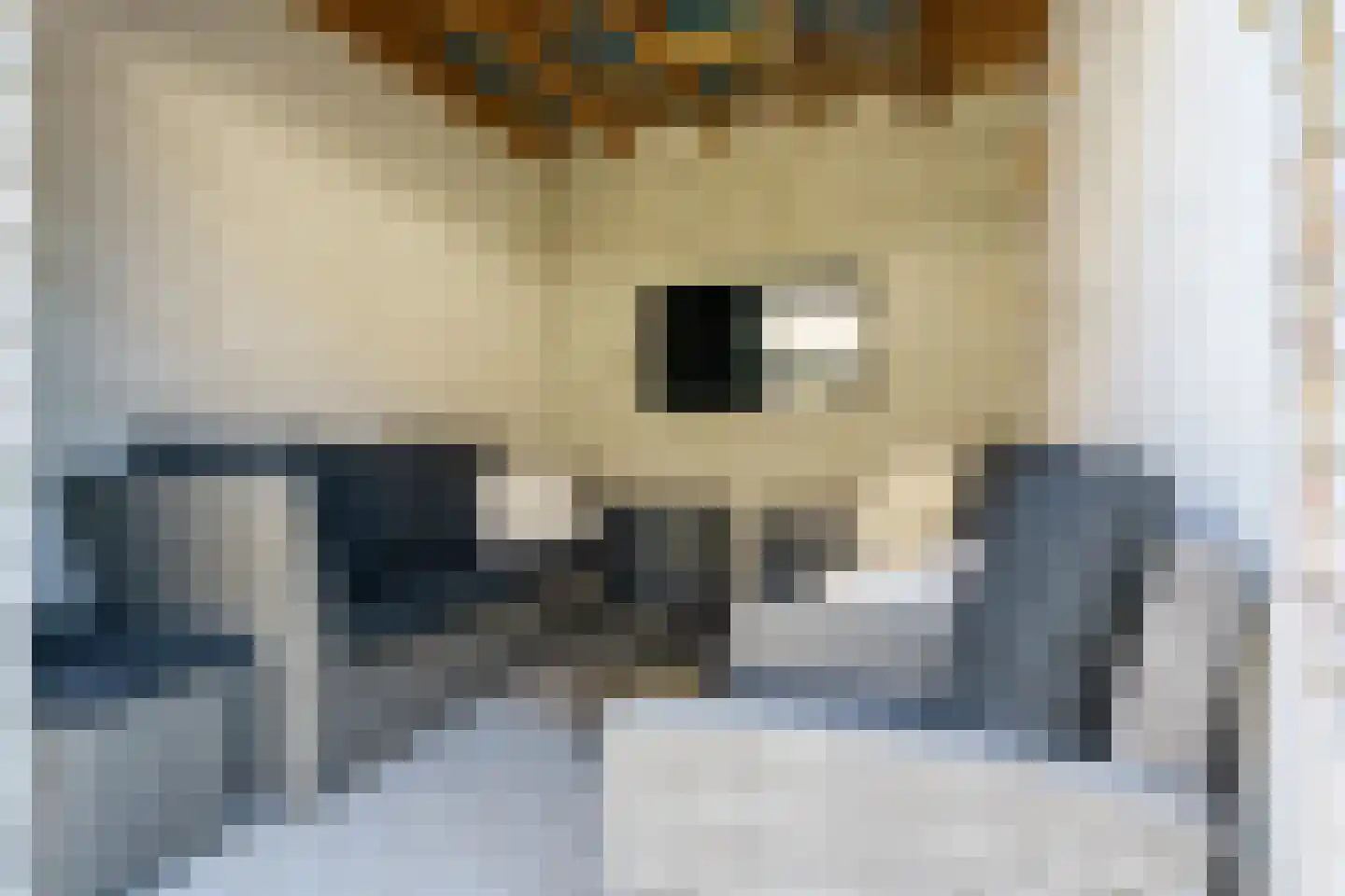 Ververstraat 8 Geldrop thumbnail 40