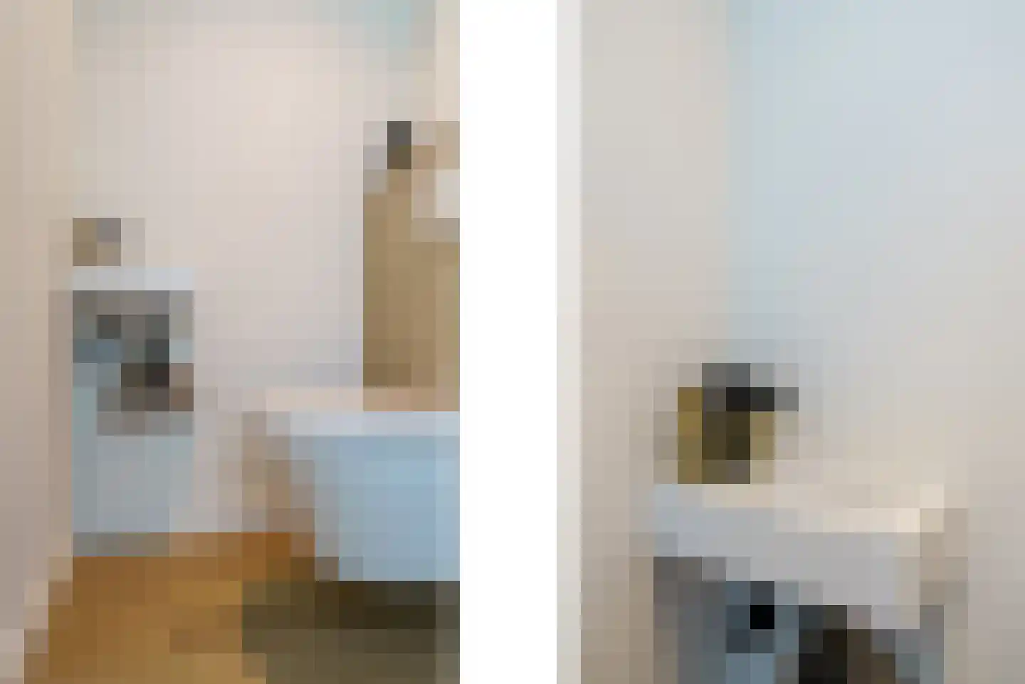 Ververstraat 8 Geldrop thumbnail 7