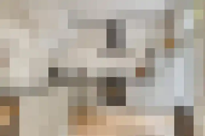 Vervoorenstraat 33 Amsterdam thumbnail 10