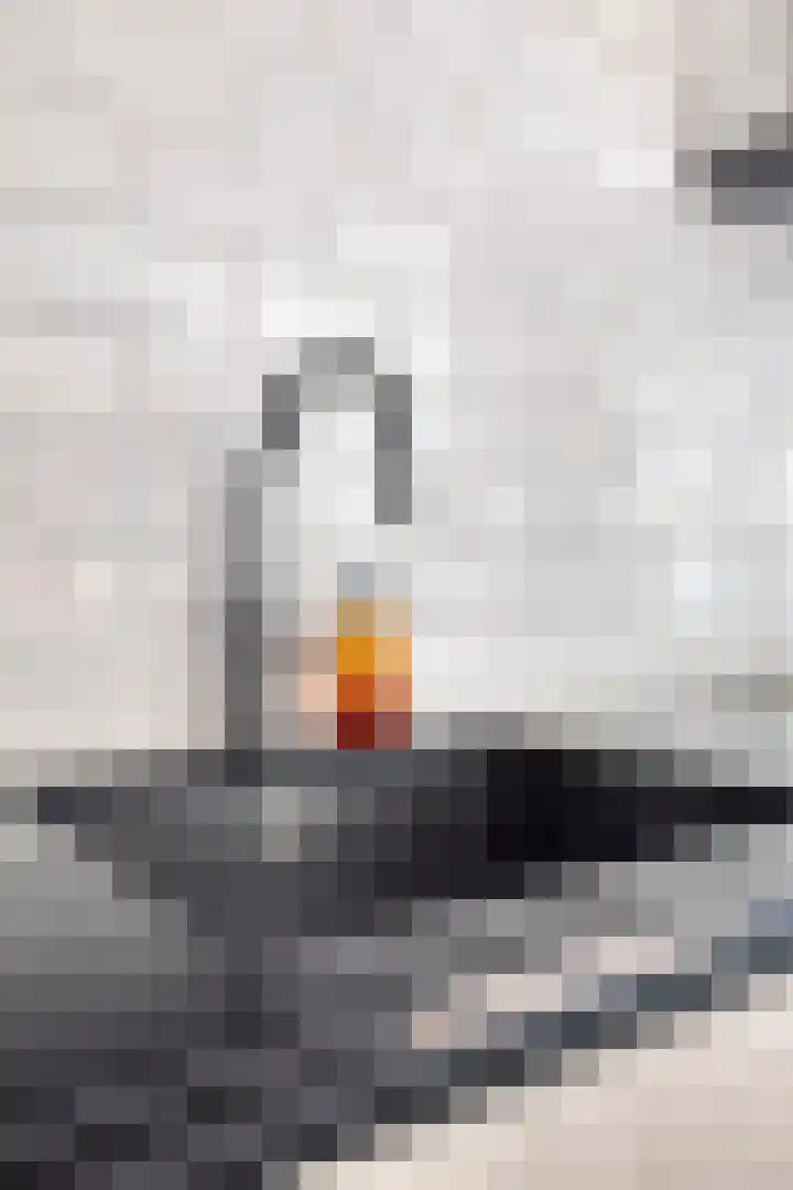Vervoorenstraat 33 Amsterdam thumbnail 12