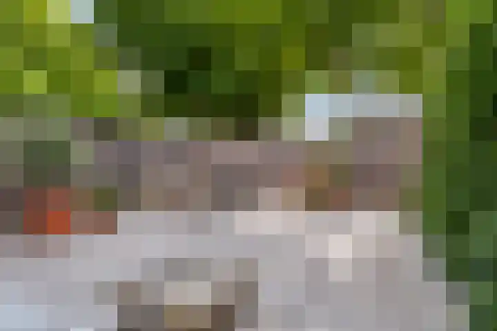 Vervoorenstraat 33 Amsterdam thumbnail 14